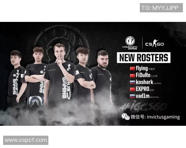 CSGO战术解析：深入探讨IG战队的团队配合与战术执行