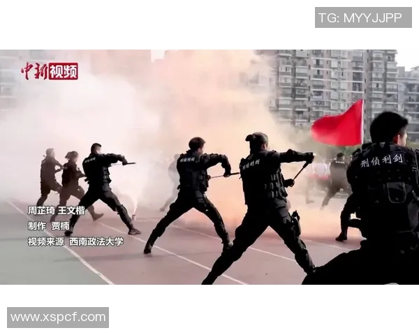 杭州街舞队反击战术全面解析与实战应用探讨