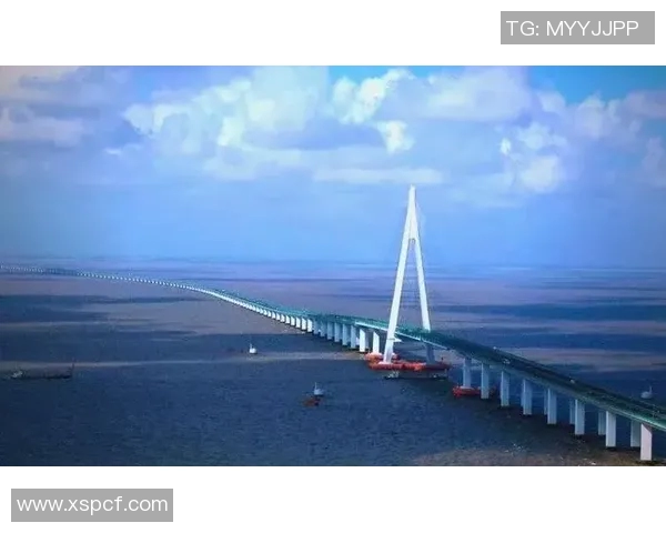 深圳篮球队反击之路：从困境到崛起的全景解析与展望