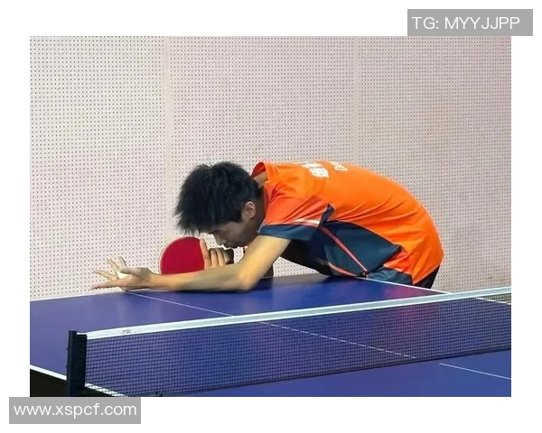 全国锦标赛回顾：北京乒乓球队展现卓越团队协作精神与实力