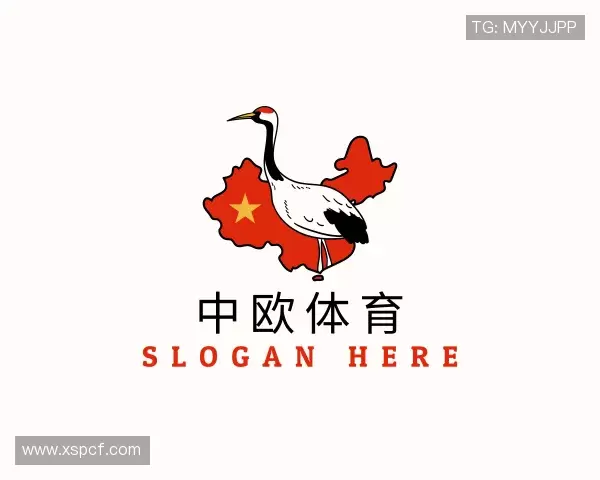 关于中欧体育